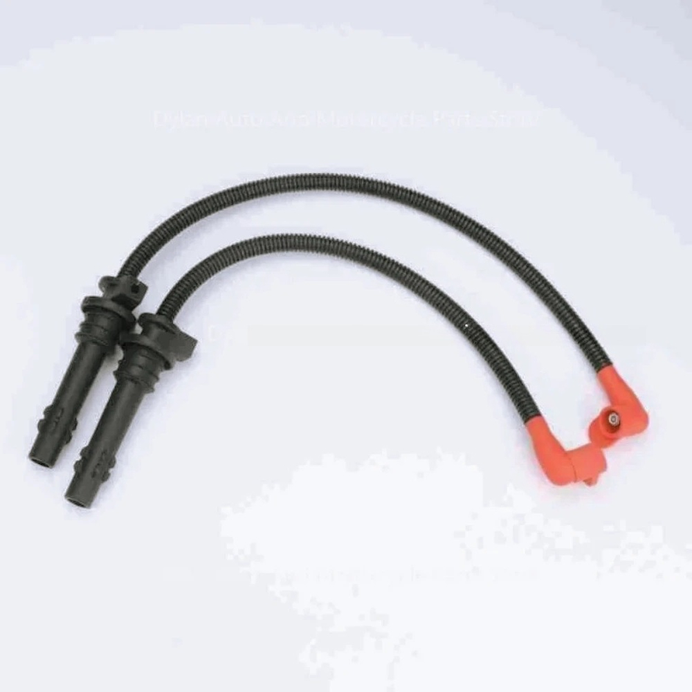 ZZ-Ignition Coil Spark Plug Ca - Spark Plug review and price